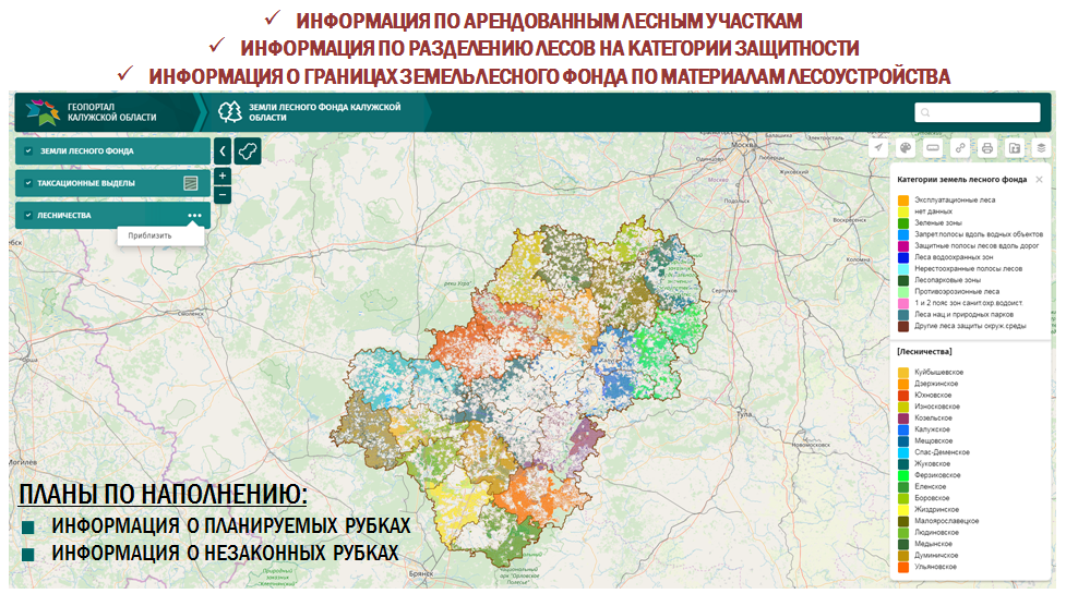 Сосновые леса в московской области карта 2021